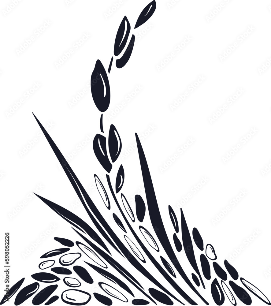 Rice, different grains, texture plant. Organic milk, gluten free flour