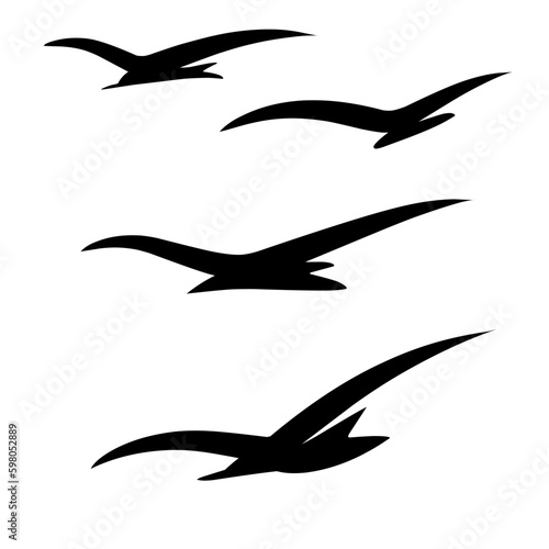 Flying birds in the sky © Vector stock