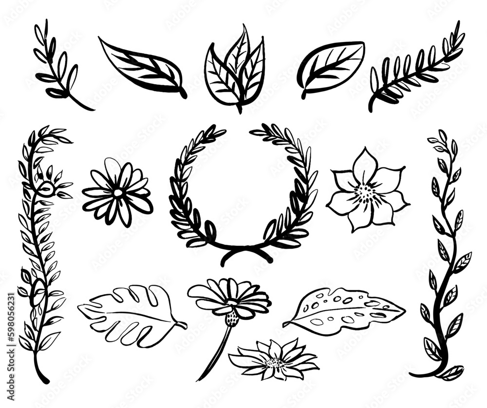 Fotografie Floral leaves hand drawn vector illustration