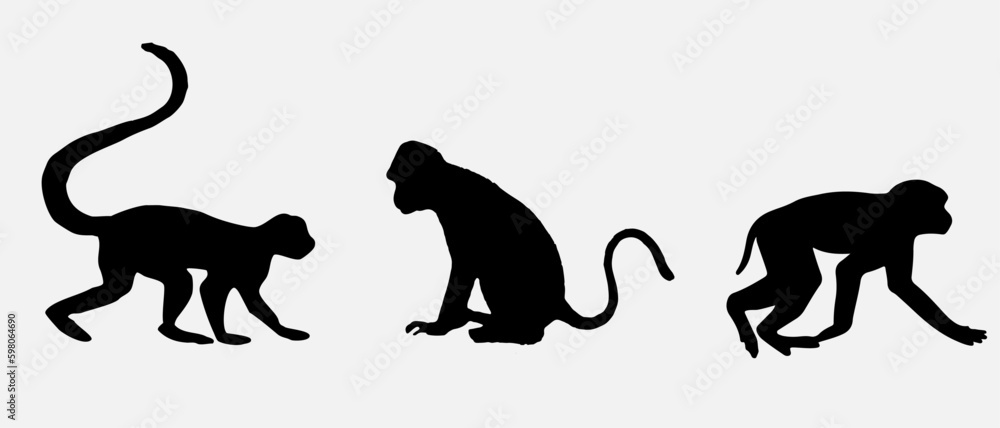 isolated black silhouette of a monkey , vector collection