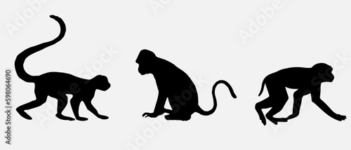isolated black silhouette of a monkey , vector collection
