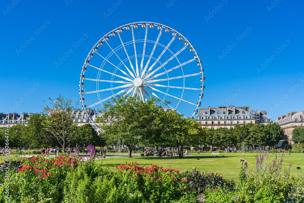 Ferris wheel and garden in Paris Ferris wheel and garden in Paris