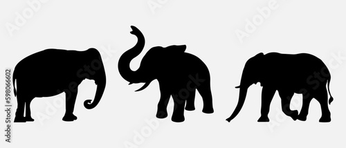isolated black silhouette of a elephant   vector collection