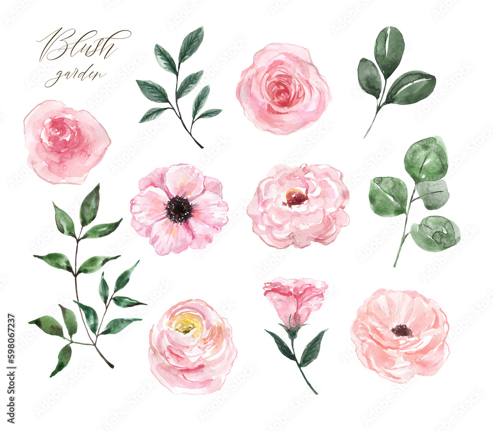 Watercolor pastel pink flowers and greenery set. Hand-painted plants ...