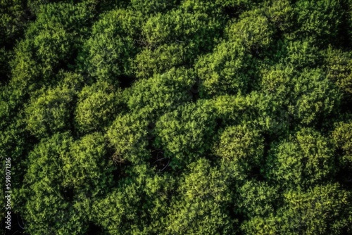 an expansive and vibrant green forest seen from above. Generative AI Generative AI