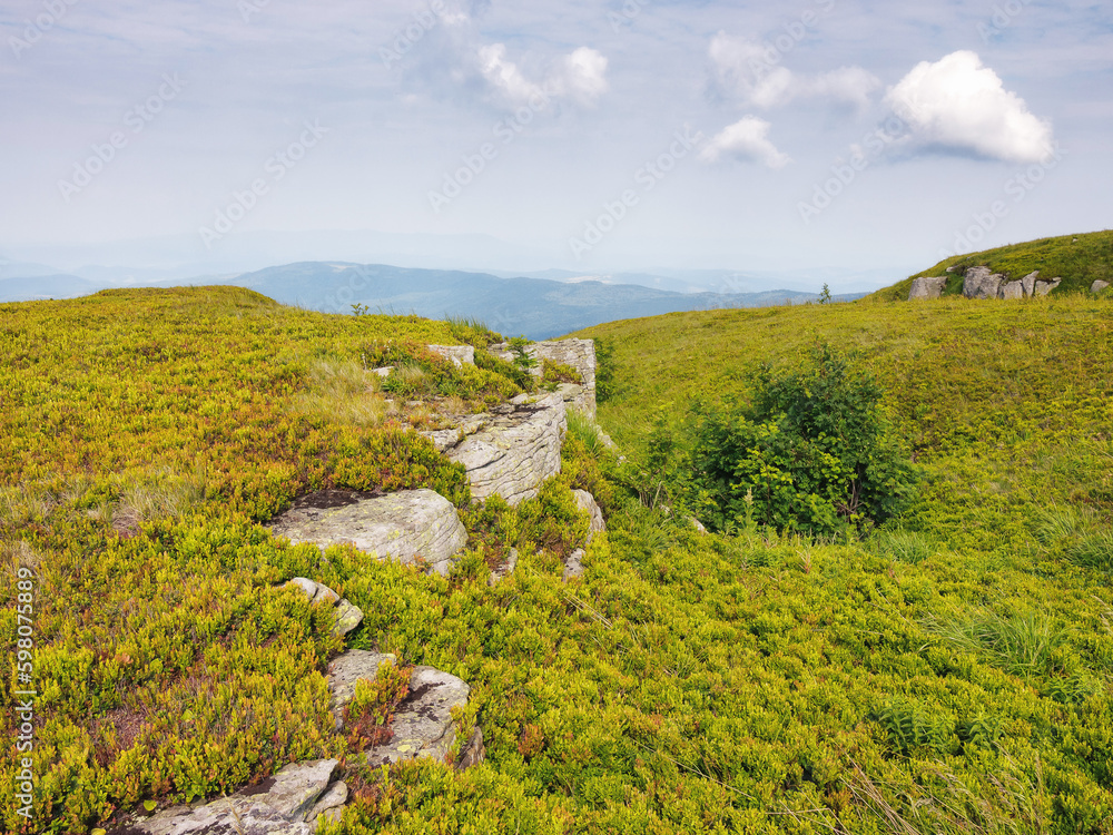 Obraz premium mountainous nature landscape. tree on the hill among the rocks. sunny summer scenery