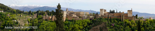 Panoramic view of Alhambra fortress in Granada  Andalusia  Spain