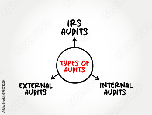 Types of Audits - important part of a customer-supplier partnership, mind map concept for presentations and reports