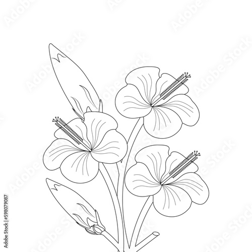 Hibiscus Flower Drawing Coloring Page With Doodle Art Line Art Vector On White Background