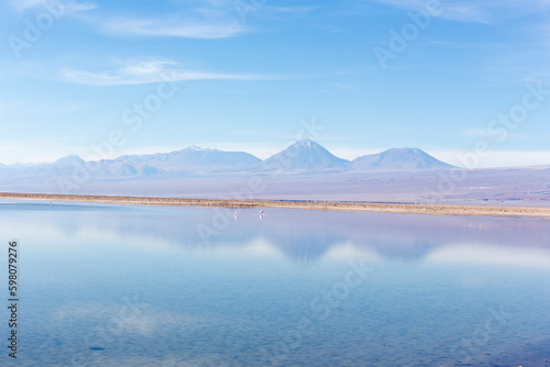 View of Chaxa lagoon