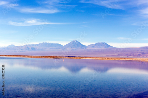 View of Chaxa lagoon