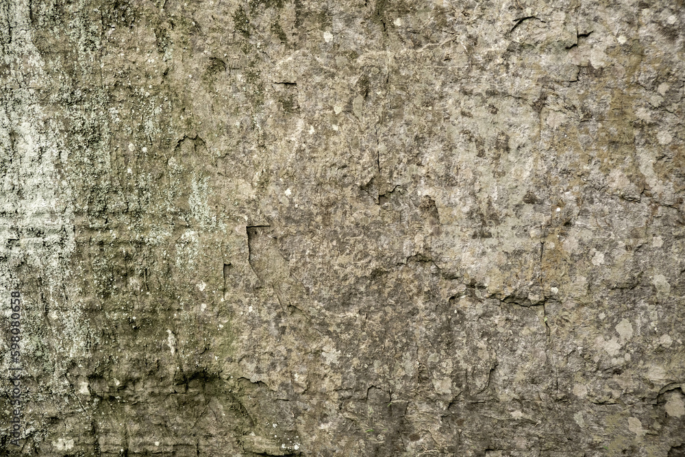 Naklejka premium Background of stone, stone rock Gray stone.