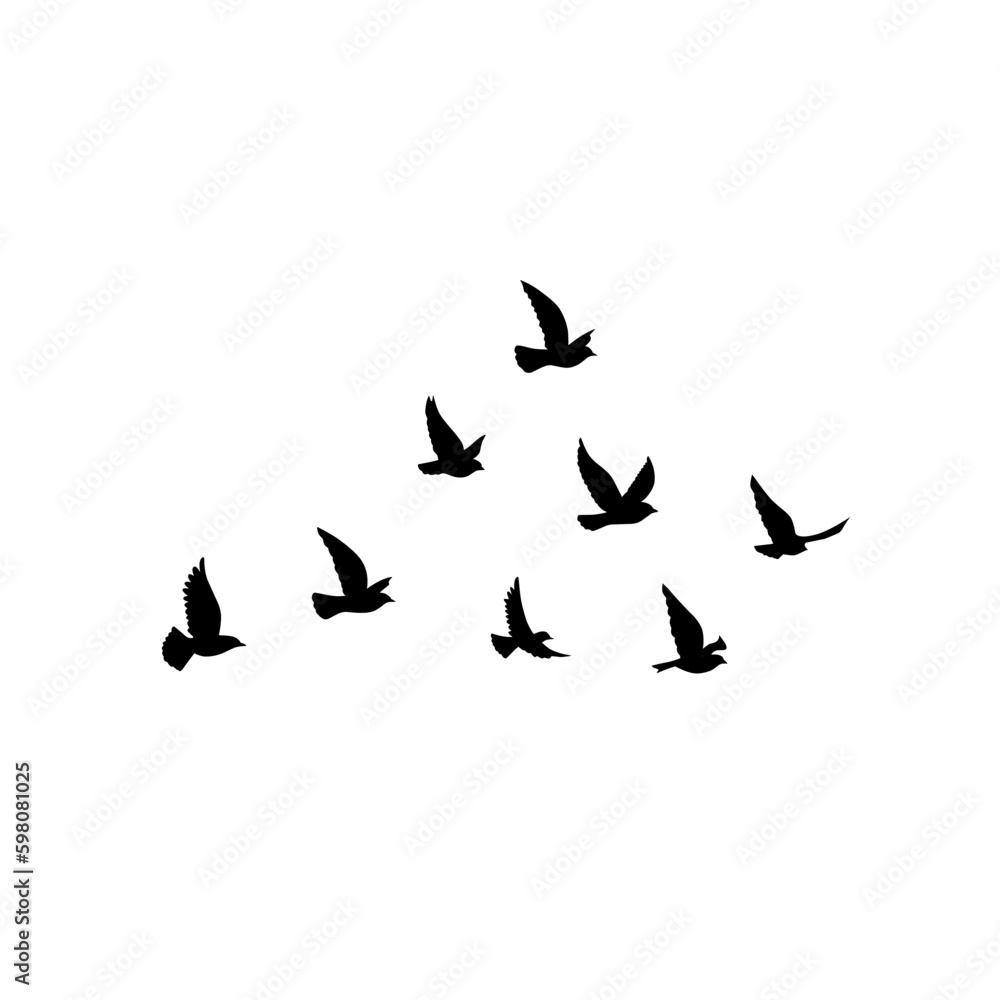 Flying birds silhouettes vector