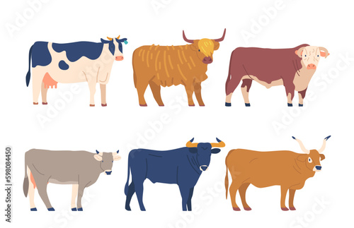 Set Cows And Bulls Diverse Breeds. Different Types Of Bovine, Each With Its Distinctive Characteristics, Such As Color Generative AI