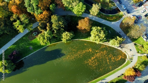 Qater pond in the park in Kielce