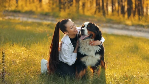 Bernese Mountain Dog (Bernese Mountain Dog)
Long-haired teenage girl hugs and kisses her beautiful big dog while enjoying playing on the lawn. Woman having fun with her pet