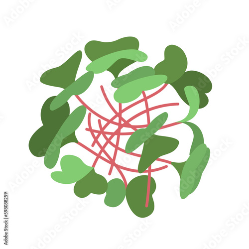 Seeds and sprouts of microgreens of radish. Design element. Vector illustration.