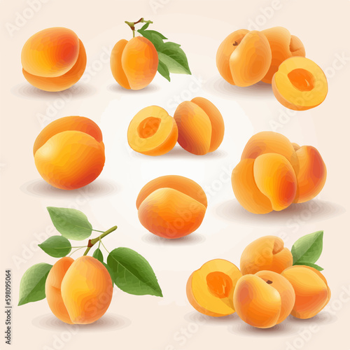 A pack of fresh and colorful apricots in vector format
