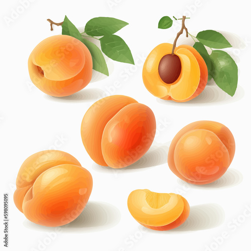 A pack of colorful vector apricots for your creative projects
