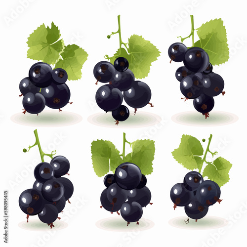 Hand-drawn black currant vector illustrations