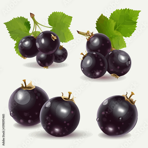 Black currant fruit icons with leaves