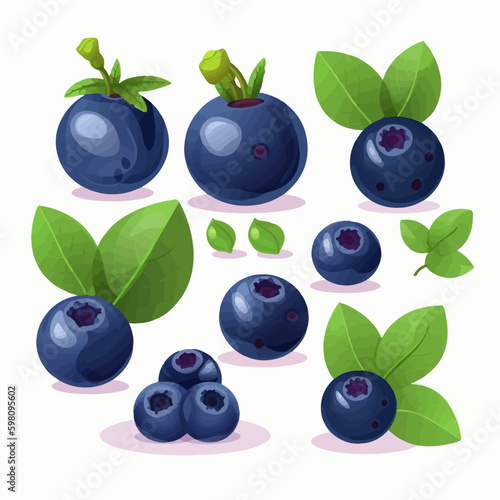 A set of blueberry illustrations in vector format