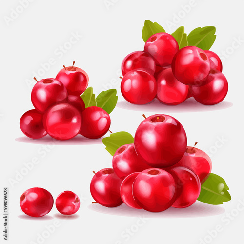 Set of Cranberry vector illustrations with patterns and textures