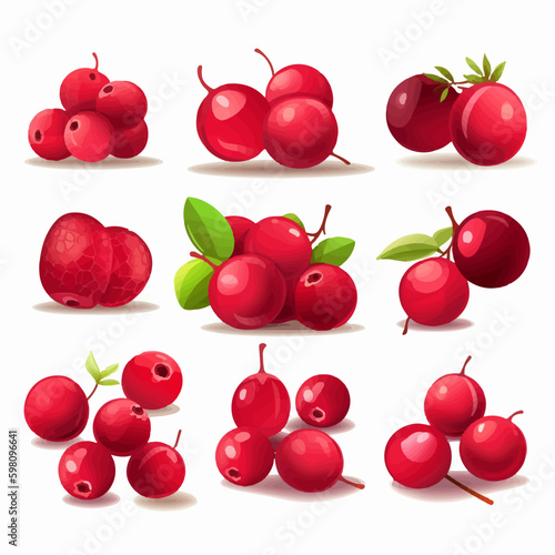 Vector illustrations of Cranberries with text overlays