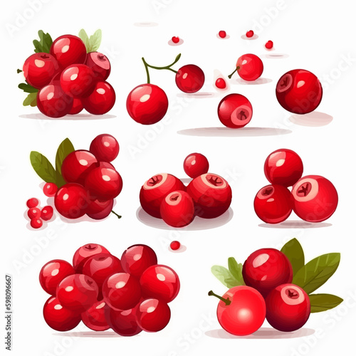 Cranberry illustrations with playful and fun designs