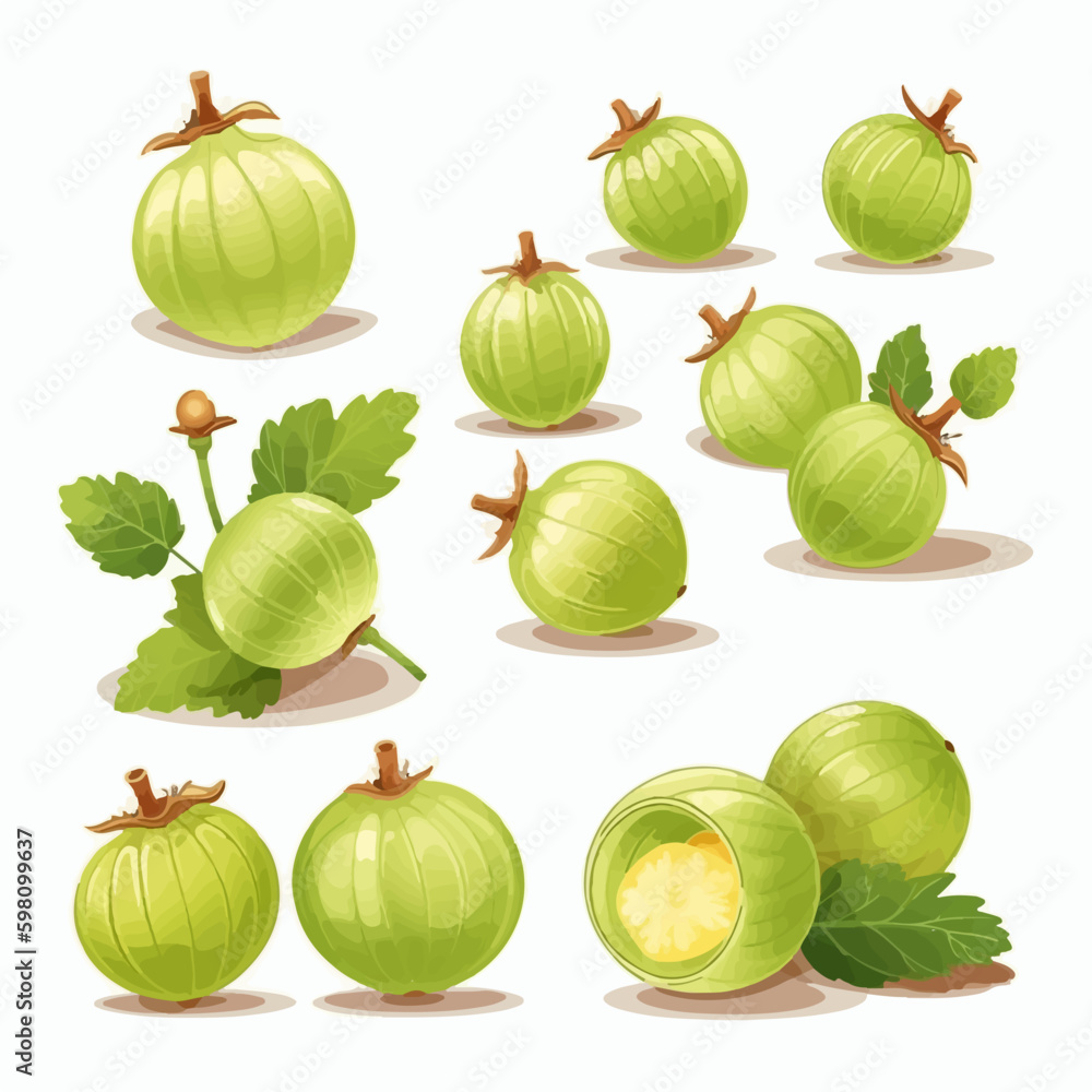A vector illustration of a gooseberry bush with ripe berries A vector illustration of a gooseberry bush with ripe berries