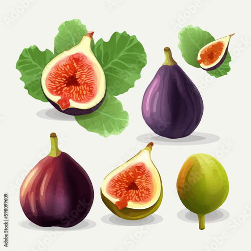 Vector image of a fig with a shiny surface.