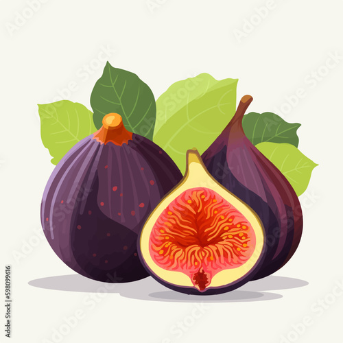 Vector illustration of a fig with a blurred background.