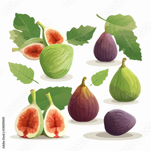 Set of fig stickers with a realistic look.