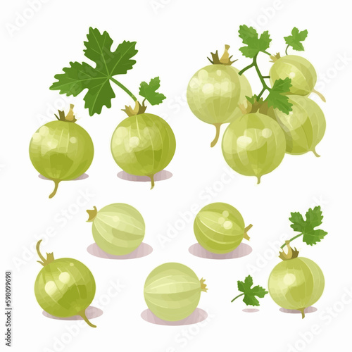 A pack of cute gooseberry illustrations with floral or leafy elements