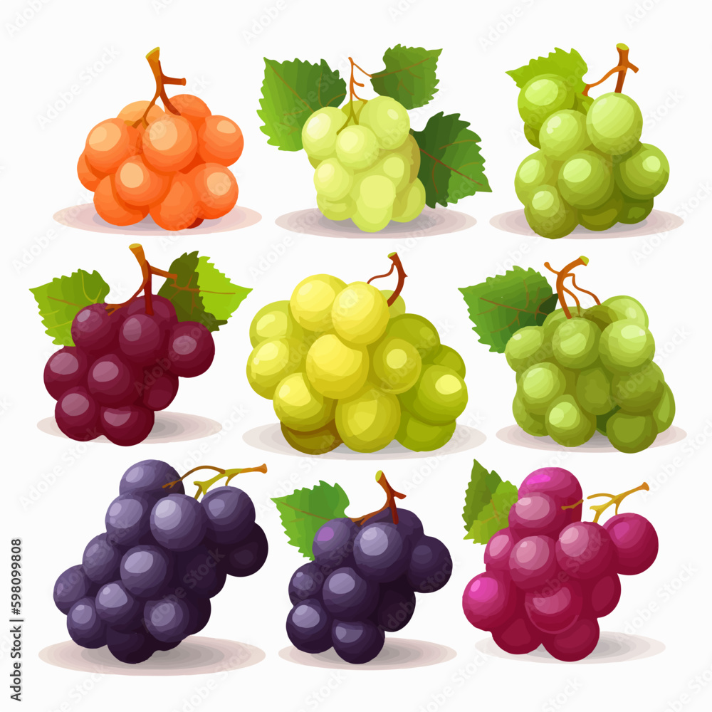 Vector illustration of a grapevine with grapes and leaves Vector illustration of a grapevine with grapes and leaves