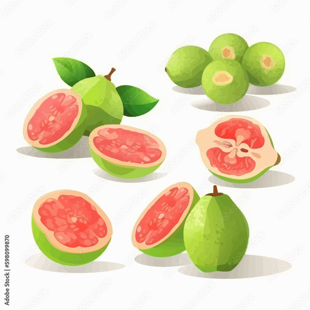 Vector illustrations of Guava fruit with a modern twist