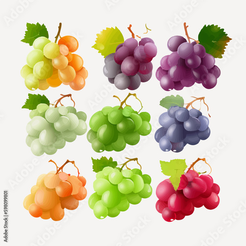 Beautiful vector illustration of grape bunches