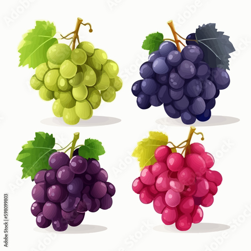 Vector illustration of a grape harvest scene