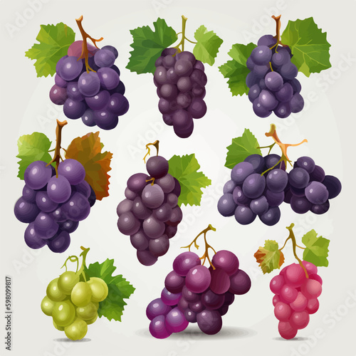Vector grapes with a gradient effect on a white background