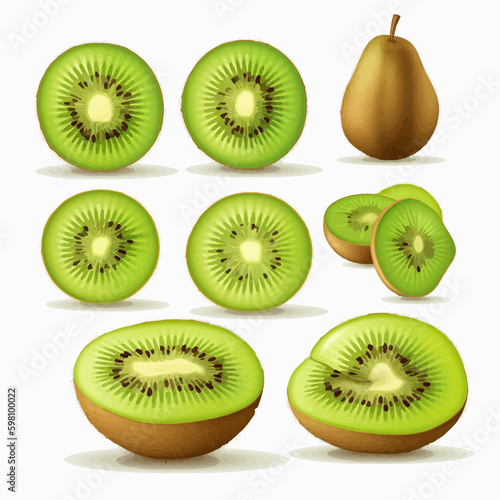 Kiwi bird vector illustration for your wildlife conservation organization