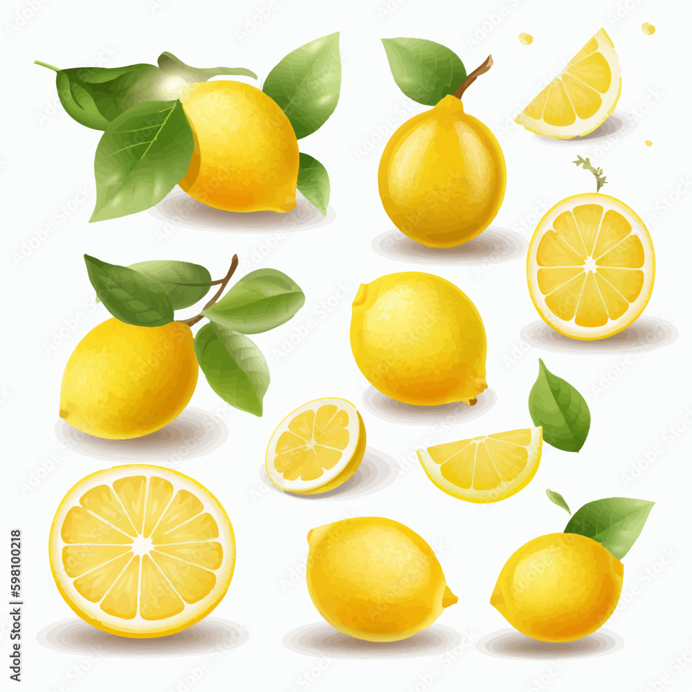 A collection of lemon illustrations in a garden theme A collection of lemon illustrations in a garden theme