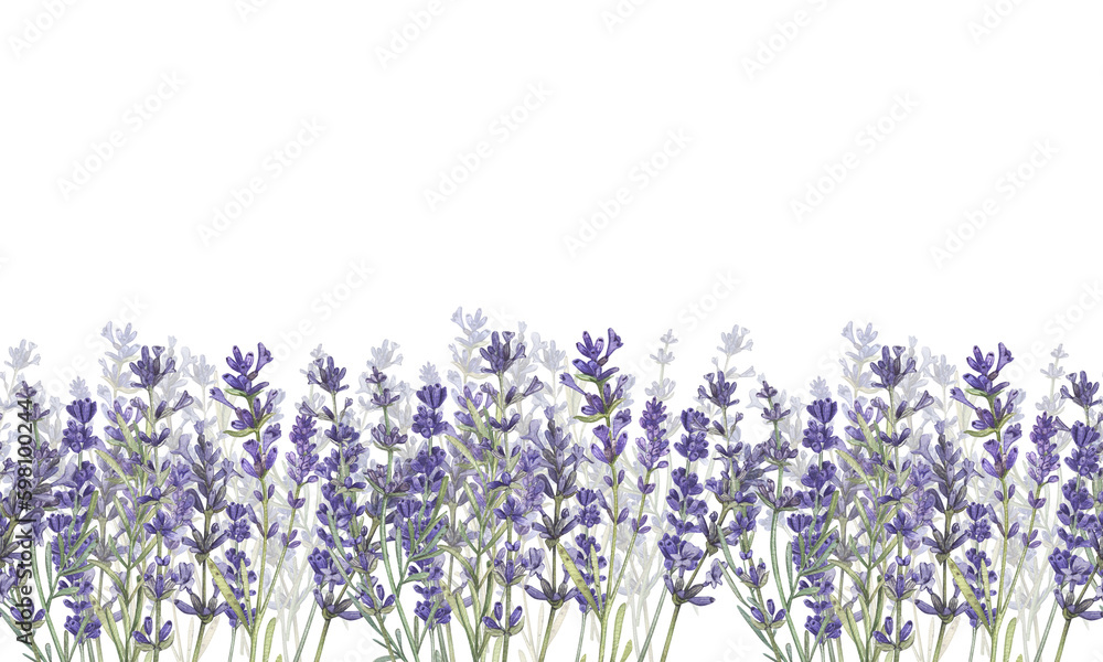 Naklejka premium Rectangular seamless banner with lavender and a place for the text. Watercolor illustration of Provencal flowers. French style. Botanical flowers. Suitable for postcards, packages, business cards