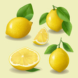 Lemon stickers with a playful and quirky design