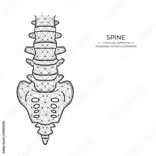 Polygonal human spine vector illustration isolated on white background. Anatomical medical banner template and background