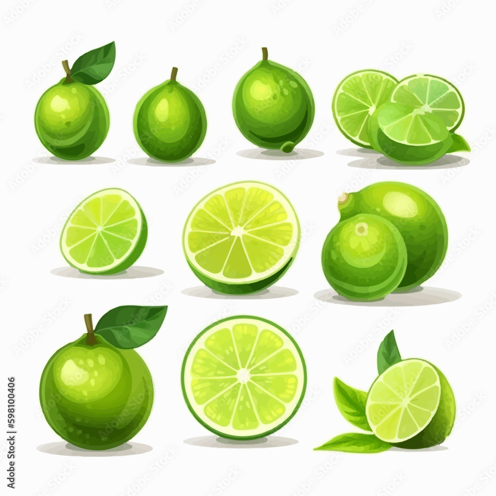 Lime fruit vector sketch with a pencil drawing style Lime fruit vector sketch with a pencil drawing style