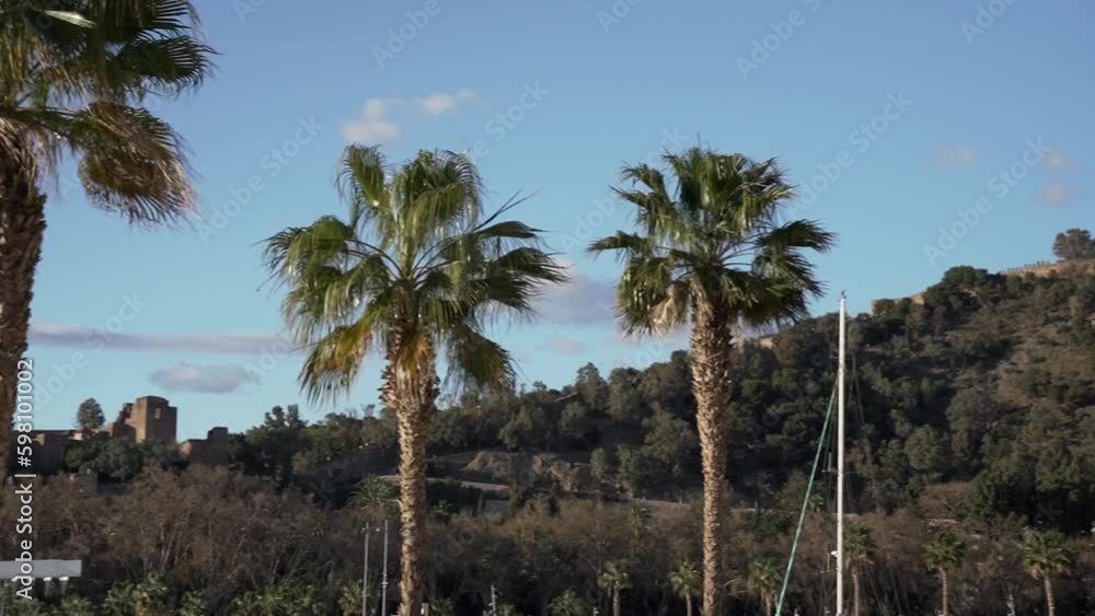 Panoramic view of Gibralfaro hill and palm trees on Muelle Uno promenade in Malaga, Spain Panoramic view of Gibralfaro hill and palm trees on Muelle Uno promenade in Malaga, Spain