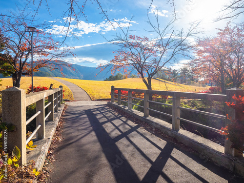 Photography Japan landscape