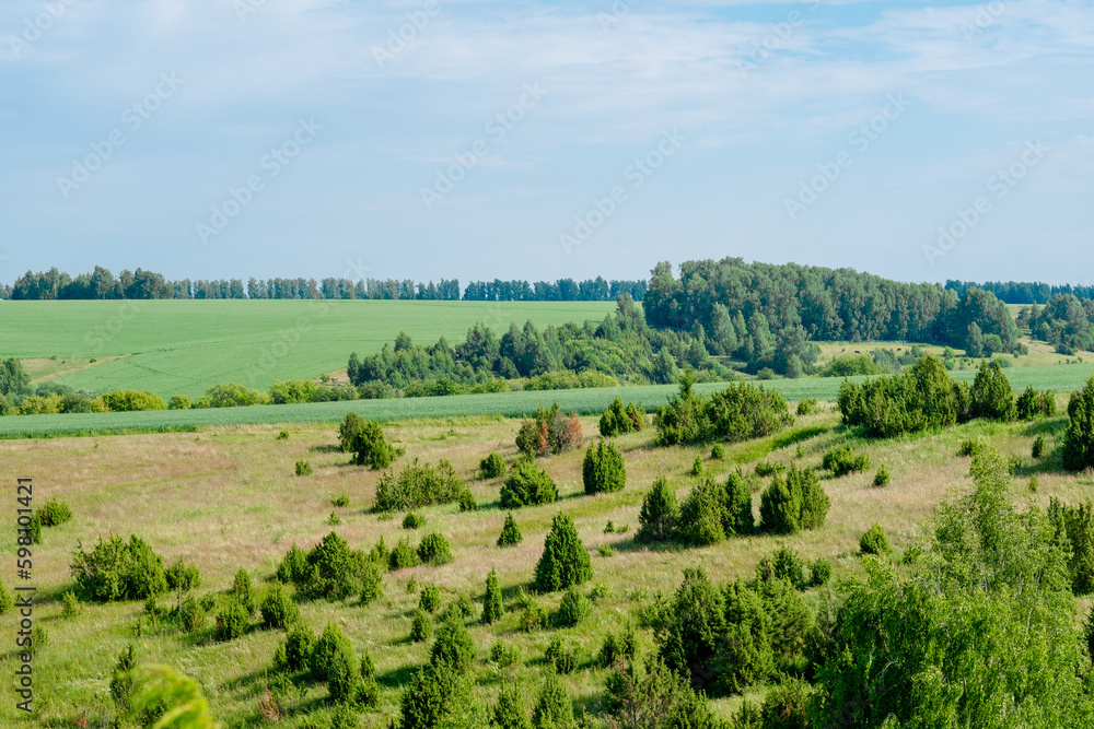 Rural landscape of Tatarstan. Green hills with trees and meadows, top view
