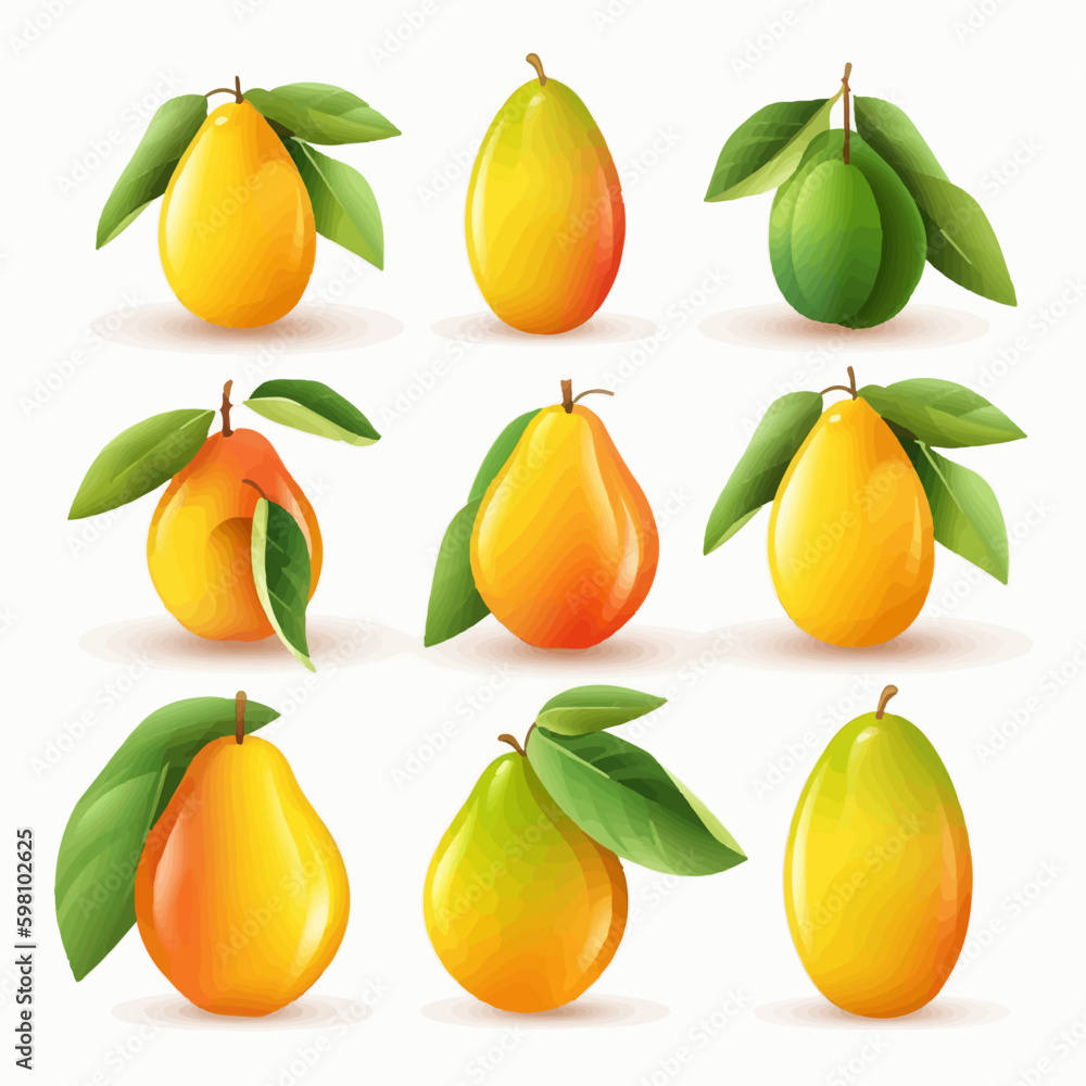 Obraz premium Mango vector illustration with a rustic and natural design