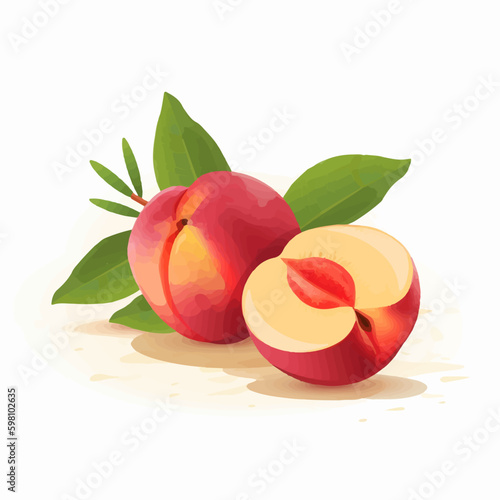 Collection of vector nectarine fruit illustrations with watercolor texture